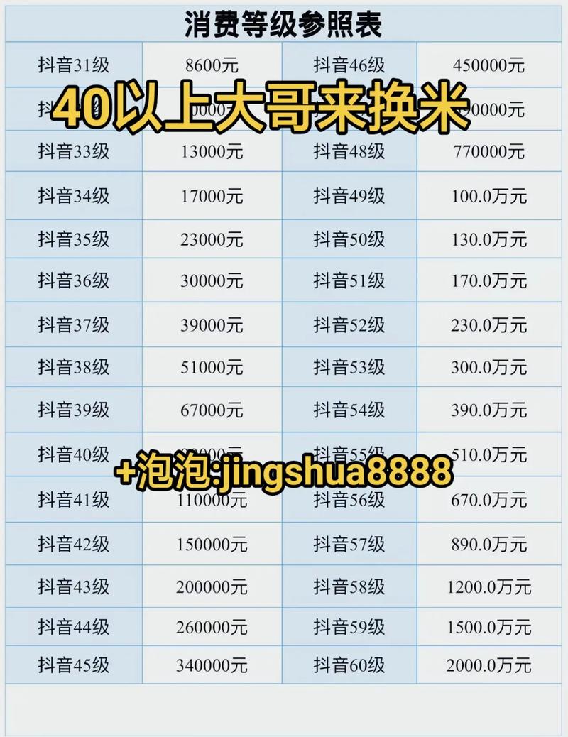 一、抖音代刷的现状与重要性