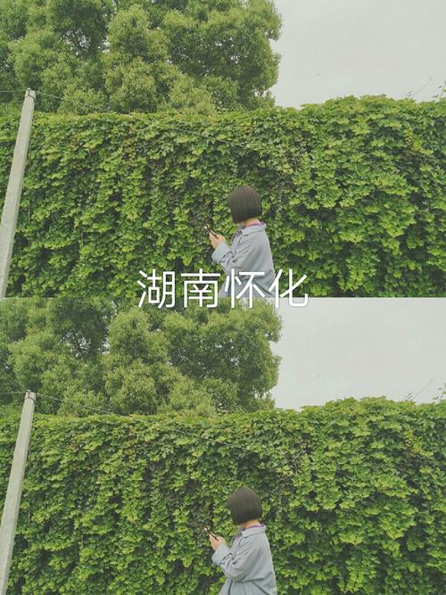 快手双击秒,免费制作、快速上万曝光