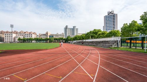 顺德大良合优网络,构建高效网络新标杆