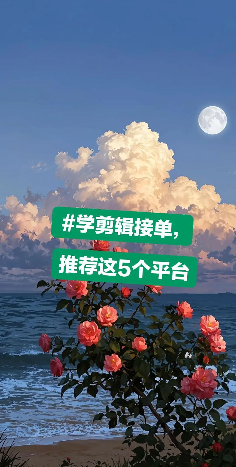 如何成功接单平台抖音和快手作品