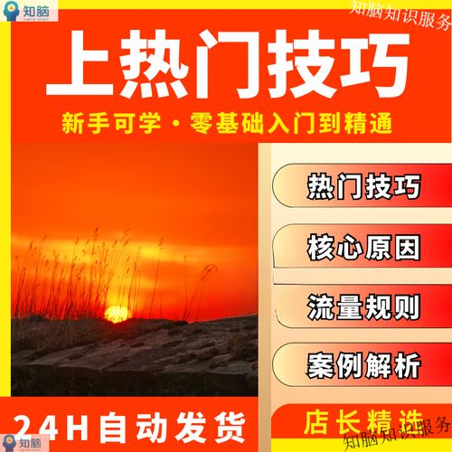 如何用抖音秒预览工具快速上热门