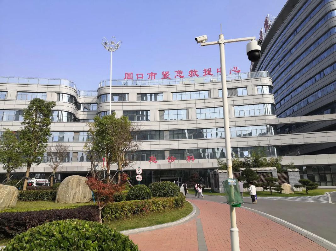 周口网站建设哪家好