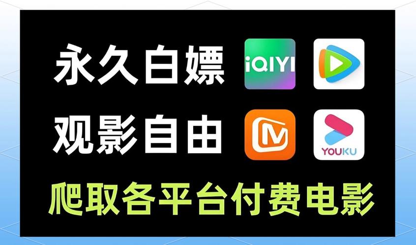 免费网络,如何在自由中寻找机会