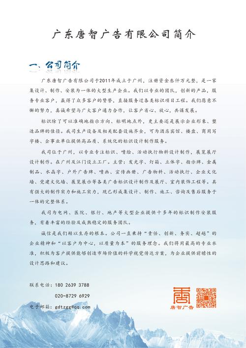 网络公司简介,探索未来,成就价值