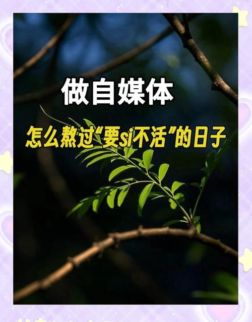 一、自媒体作者,数字生存的守护者