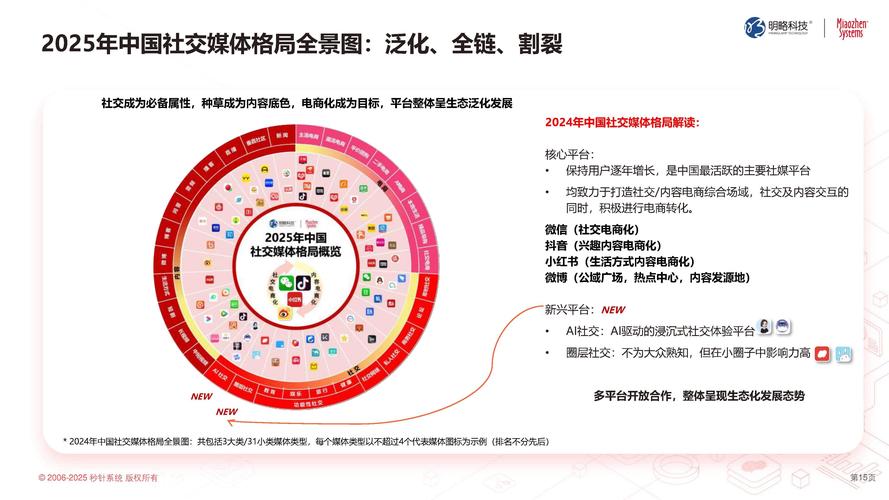 从虚拟空间到数字化未来,最新网络宣传平台的现状与未来展望