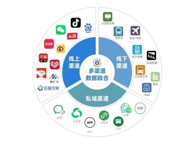 探索数字营销专家项目,用户需求驱动的网络机会
