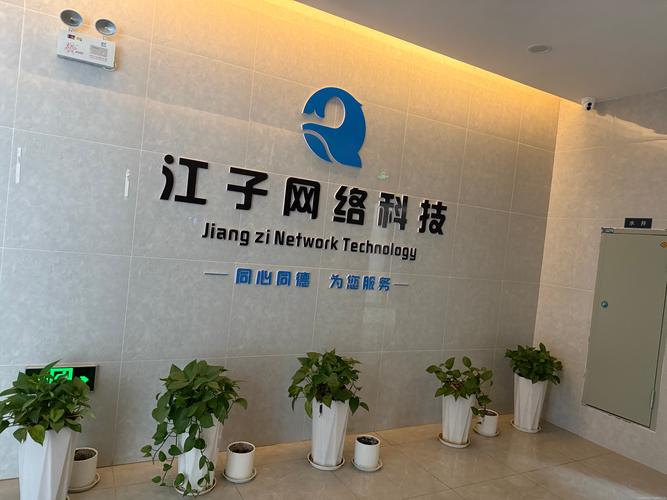 萝卜市网络公司，西宁网络创业的最佳选择