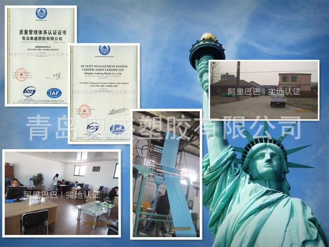萝卜市网络公司,西宁网络创业的最佳选择