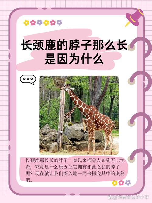 长颈鹿涨粉（Shade Up）抖音内容的自然代刷建议