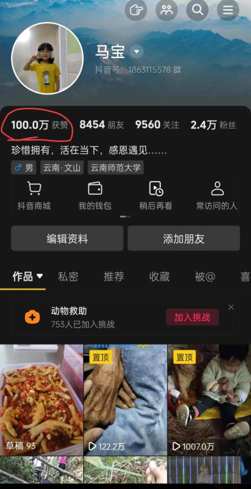 喜唰唰抖音自助赞平台,抖抖得更稳,秒变百万用户!