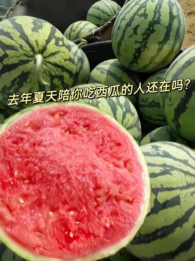 西瓜自助涨粉平台，爱抖音代刷，你值得拥有！