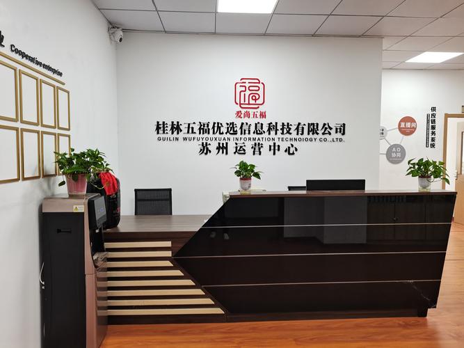 广西网络公司,机遇与选择