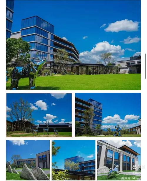 宁德手机建站指南，打造高效用户体验
