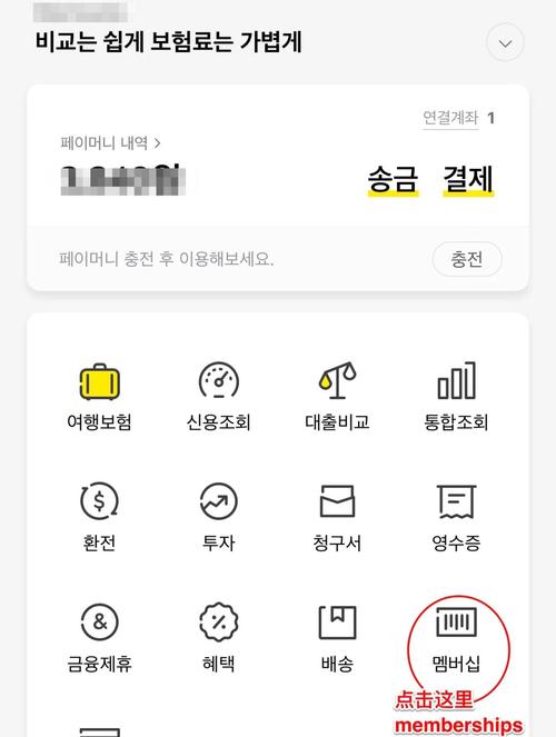 下载KakaoTalk电脑版与天天酷跑电脑版的指南