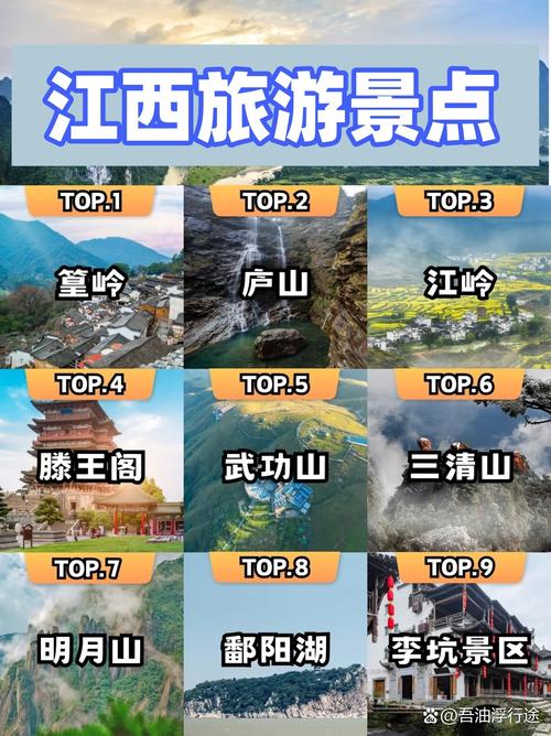 江西 concentric网络，开启你的专业成长之旅