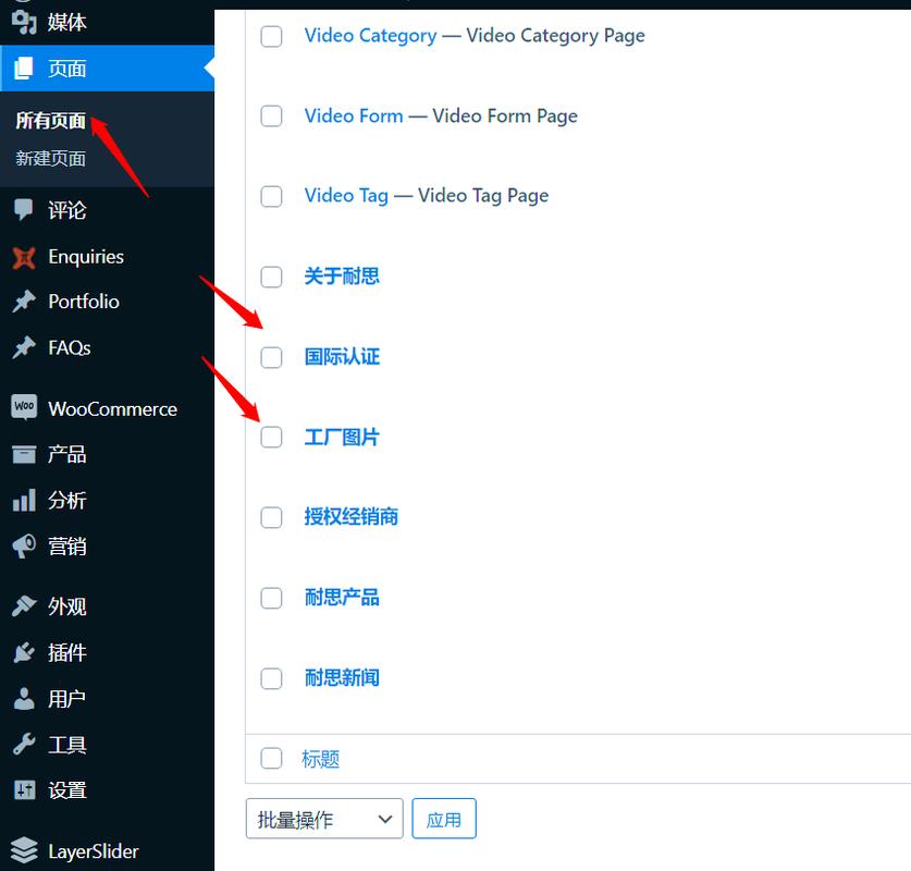 网站全方位指南