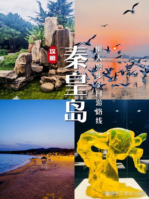 秦皇岛网络文化，活力与机遇并存，值得关注！