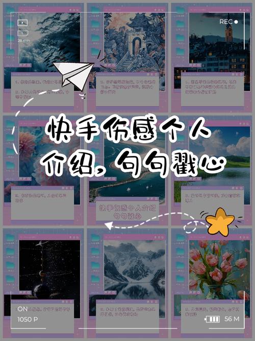 一、快手秒自定义评论的介绍
