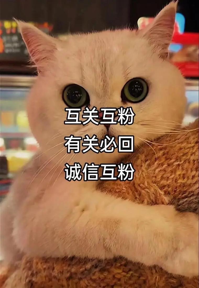 快手播放量自助下单、抖音互互赞与ks粉丝业务,如何轻松赚取流量