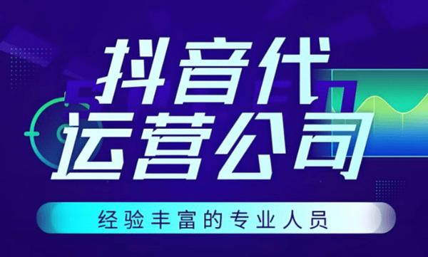 抖音刷赞平台搭建与代写服务推荐