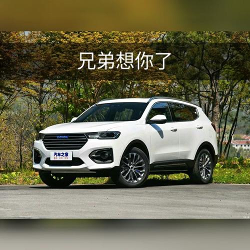 双击搜索，让内容快速上车的秘技