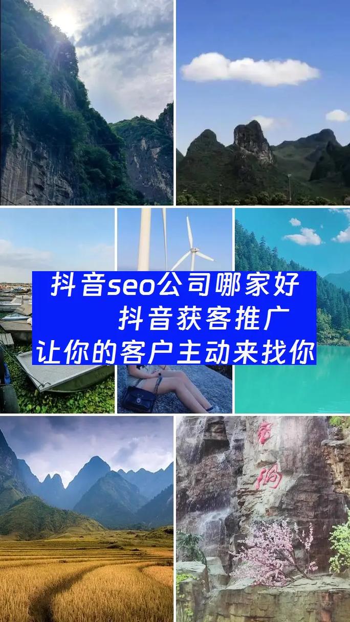 随州SEO优化SEO优化随州！你的品牌价值瞬间提升！
