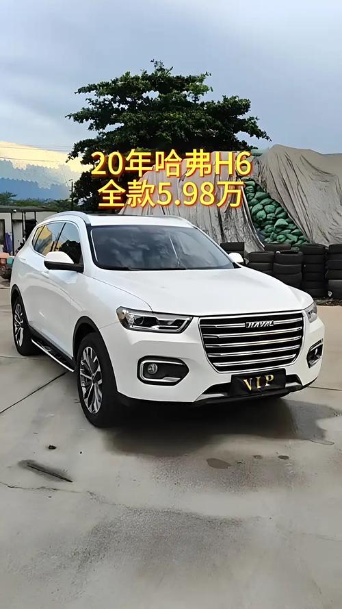 全网最低价快手全网全价,哈佛哈佛哈佛!