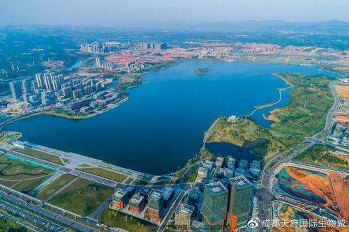 成都有实力的网站建设之路
