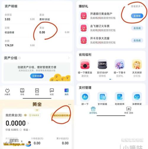 账户管理,高效便捷,蚂蚁蚂蚁与支付宝万众yers