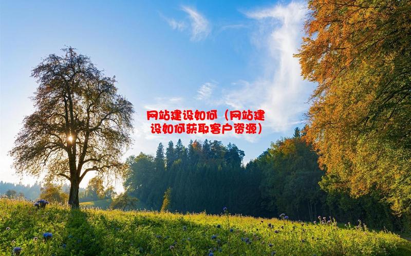 网站走向，判断其发展阶段的关键密码—如何判断网站建设年龄
