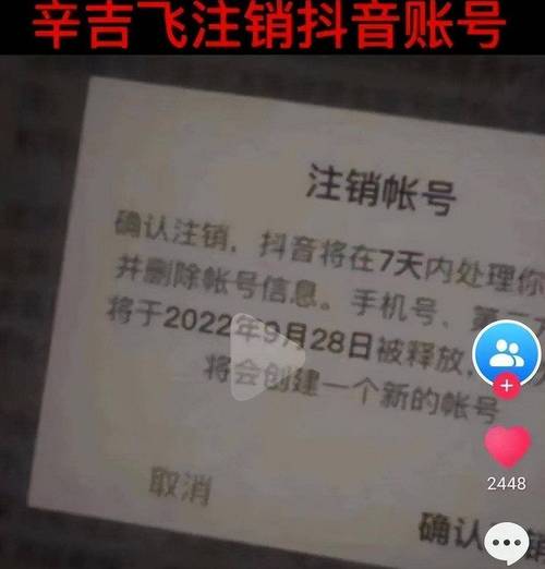 网红抖音代刷与真人互动,哪个更适合你的内容?