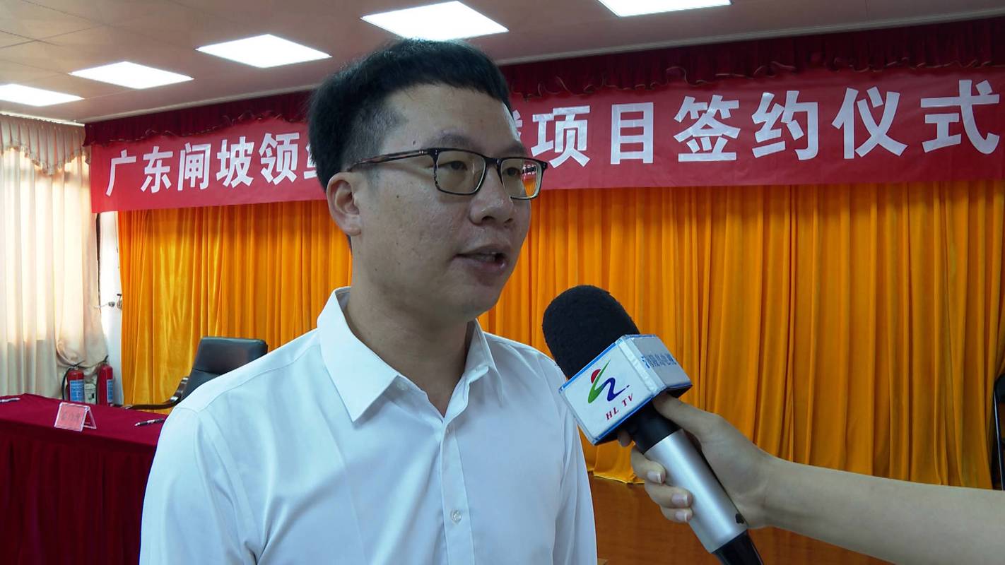 阳江网站建设专家