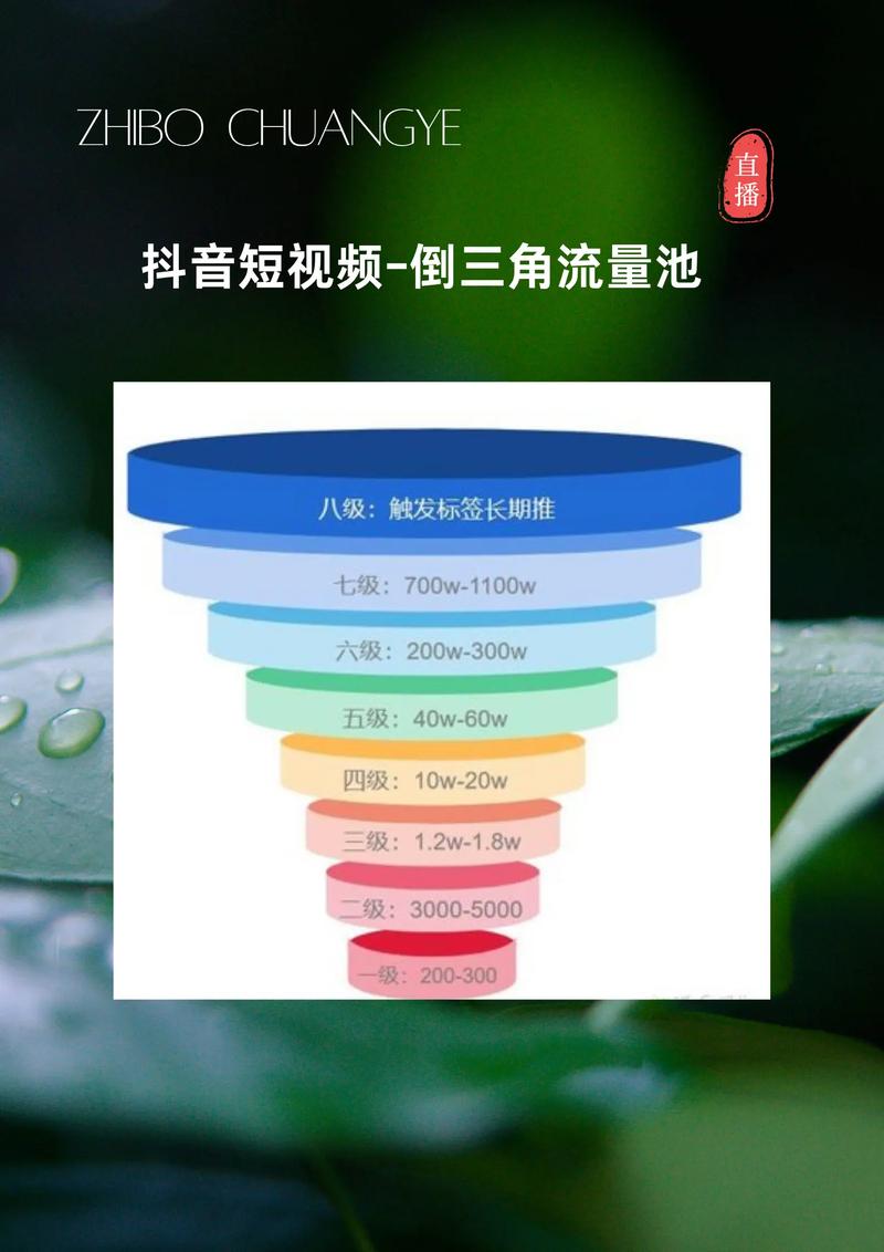 抖音刷浏览量互助，技术与流量的完美结合