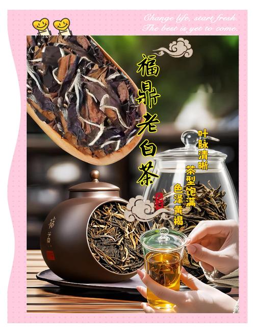 福鼎茶文化,传承千年之美味,开启你的茶生活新篇章