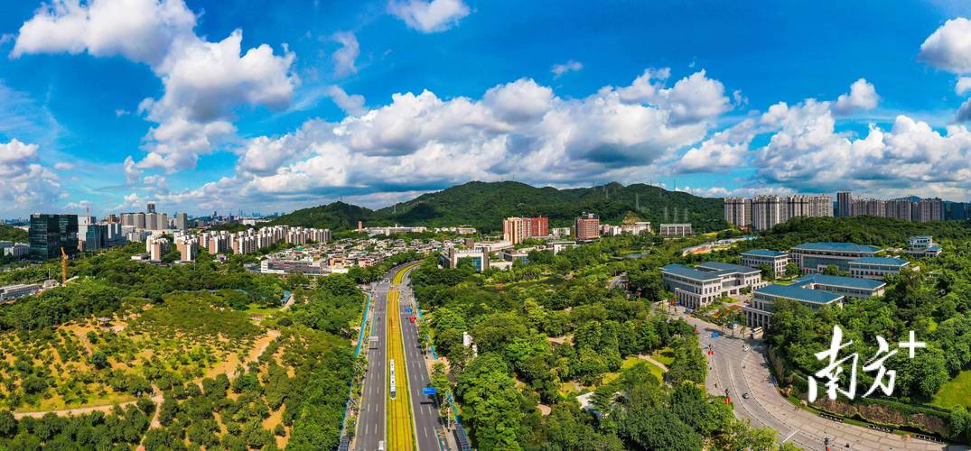黄埔现代化,重塑城市新秩序