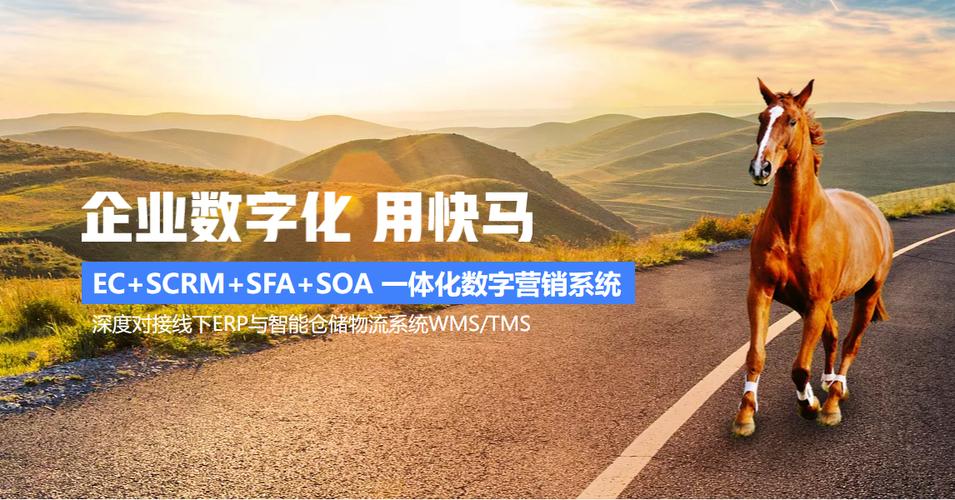 网络注册商,你的未来指南