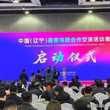 沈阳网络科技公司，数字时代下的创新与成长