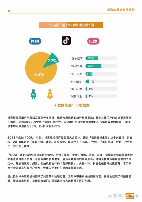 抖音刷浏览量与网站表现,深度分析