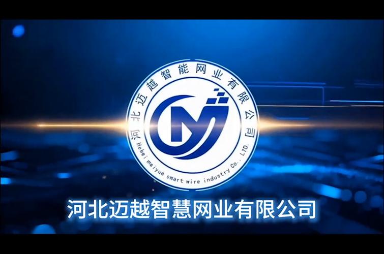 河北多道网络公司,助力垂直领域的发展