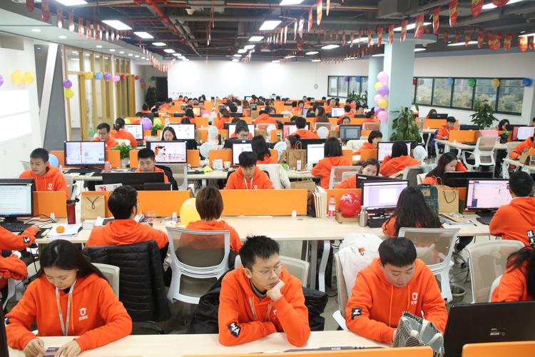 温州市网络销售公司，专业与创新的完美结合