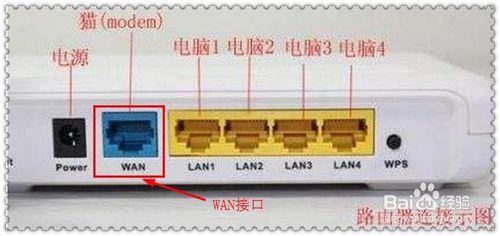 洪恩老兔教你学电脑,一根网线两台电脑上网