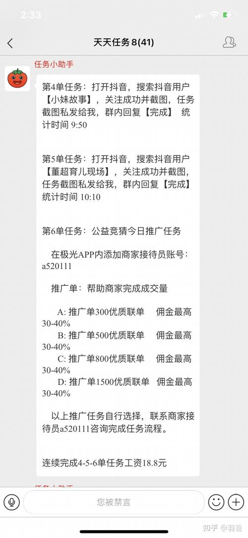 操作秘籍,抖音赞码高效使用指南
