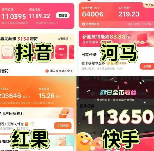 快手刷赞秒刷与抖音极速版,高效提升收益的秘密