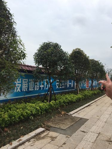 北苑网站建设公司，你值得信赖？