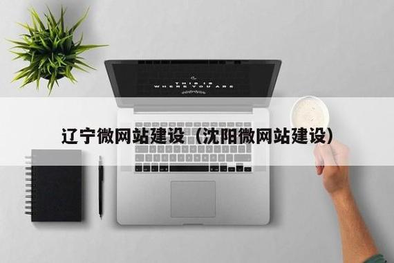 如何用网络资源创业,沈阳的网络发展之路