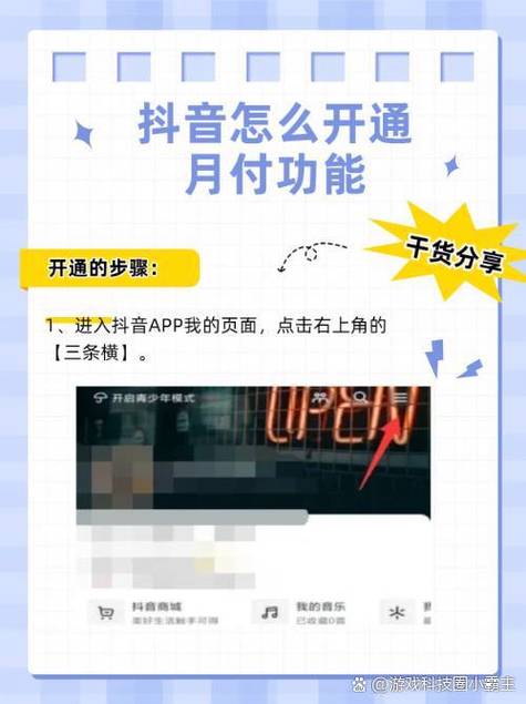 快手抖音双击工具全网最低价指南
