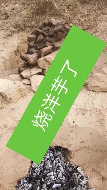 快手秒刷1播放与蚂蚁平台,你的短视频最佳选择?