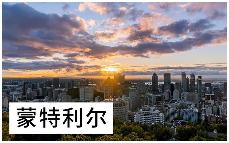 蒙特利德营销,从概念到实践